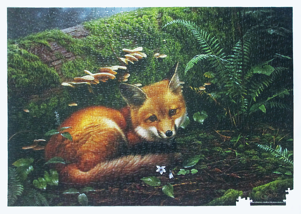 Foxy fern- 11