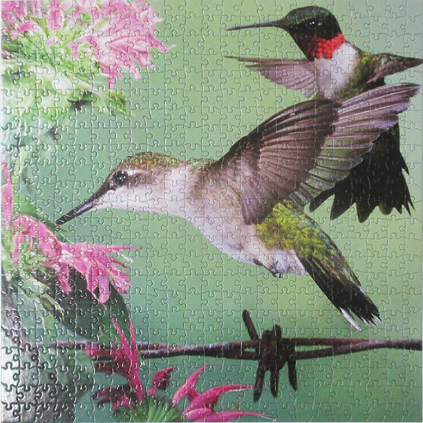 Hummingbirds 10