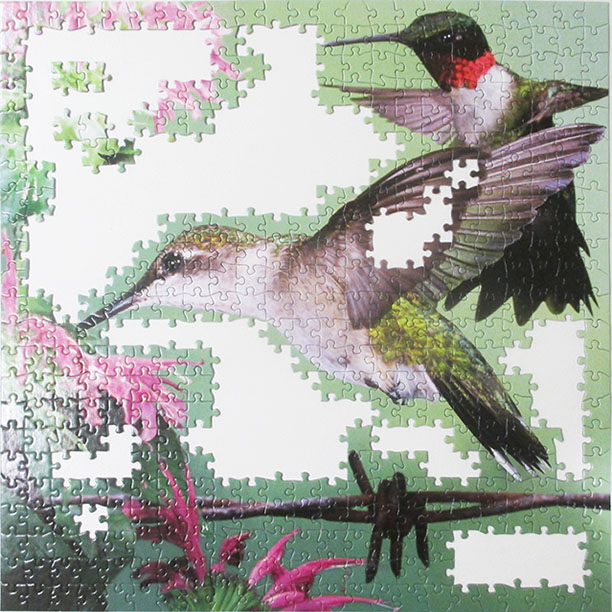 Hummingbirds 5