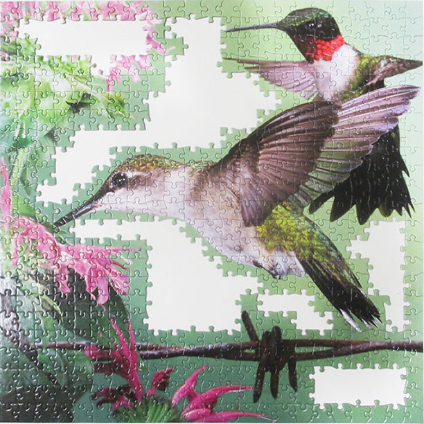 Hummingbirds 6