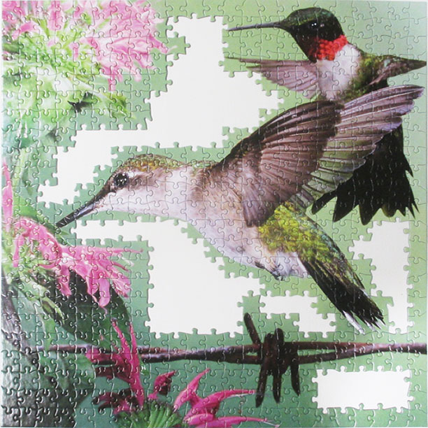 Hummingbirds 7
