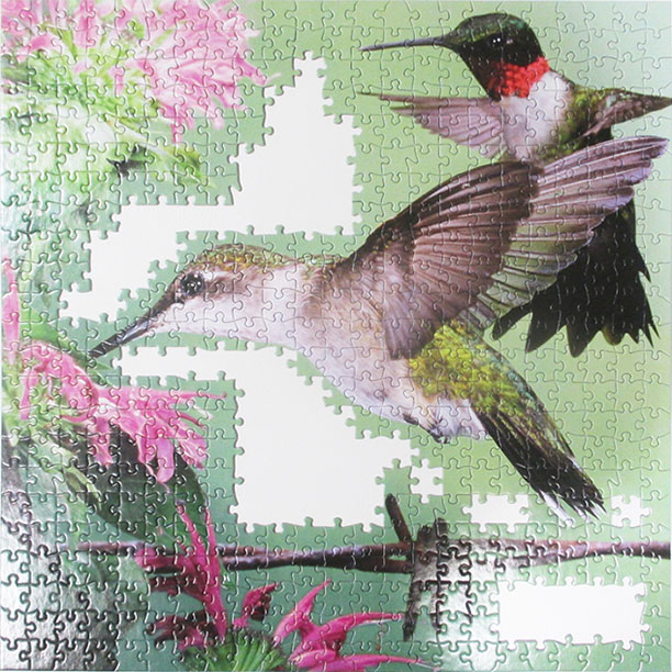 Hummingbirds 8