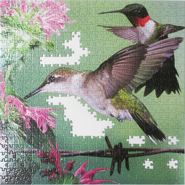 Hummingbirds 9