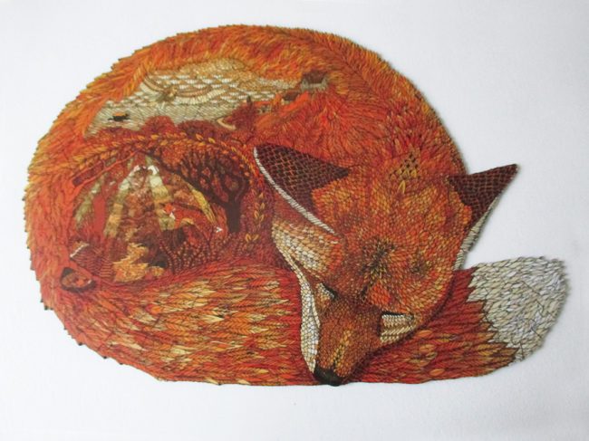 Fox autumn-9