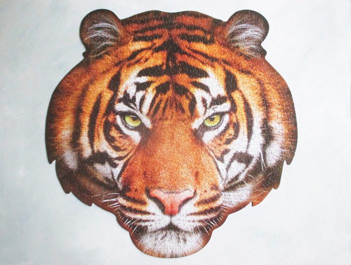 I Am Tiger 18