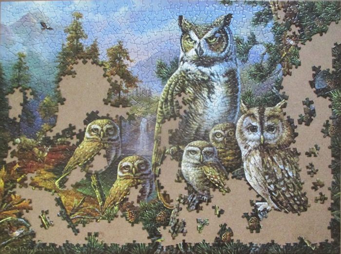 Owl Family 10