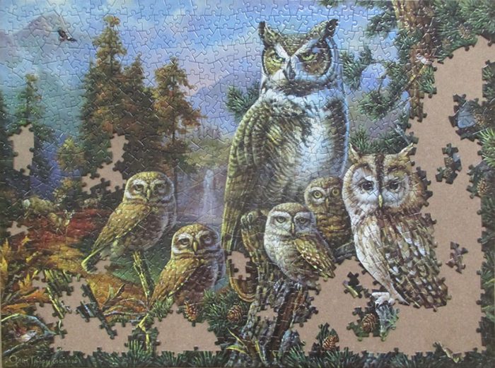 Owl Family 11