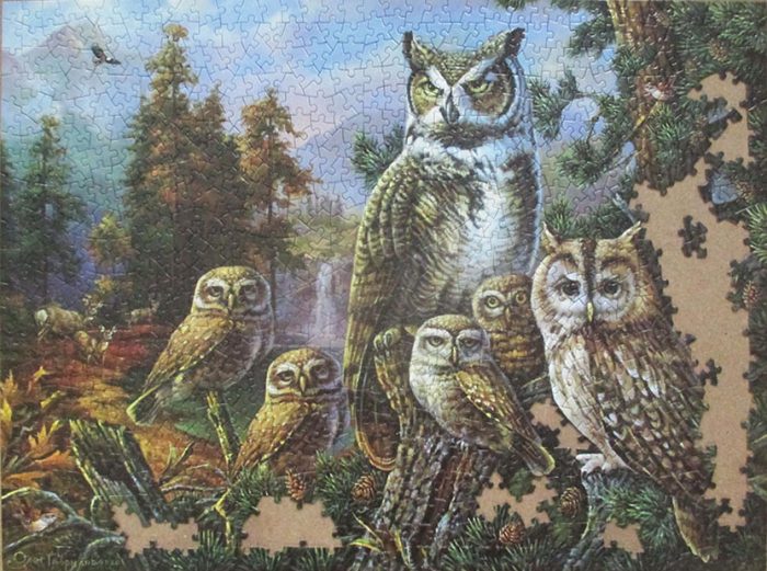 Owl Family 12