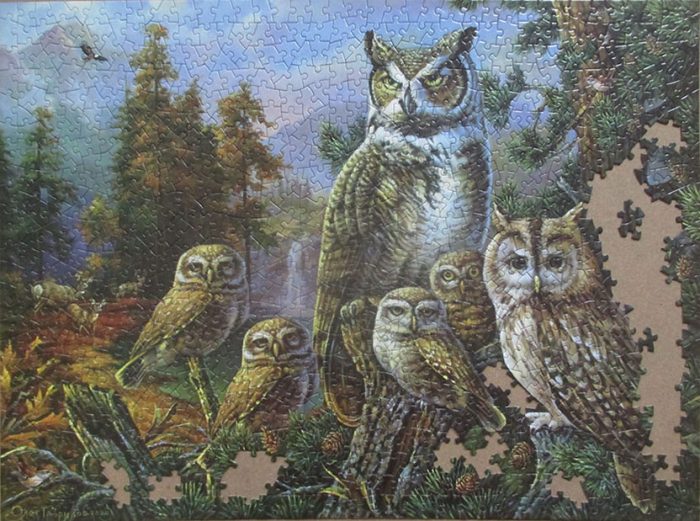 Owl Family 13