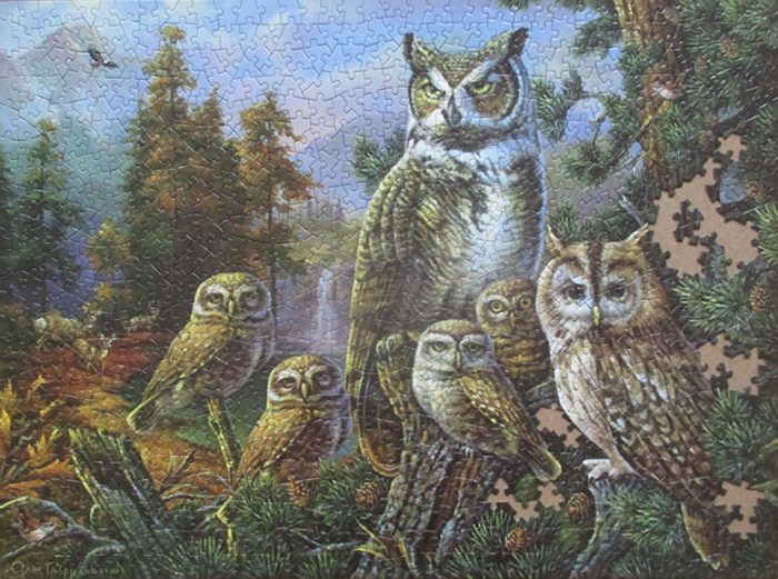 Owl Family 14