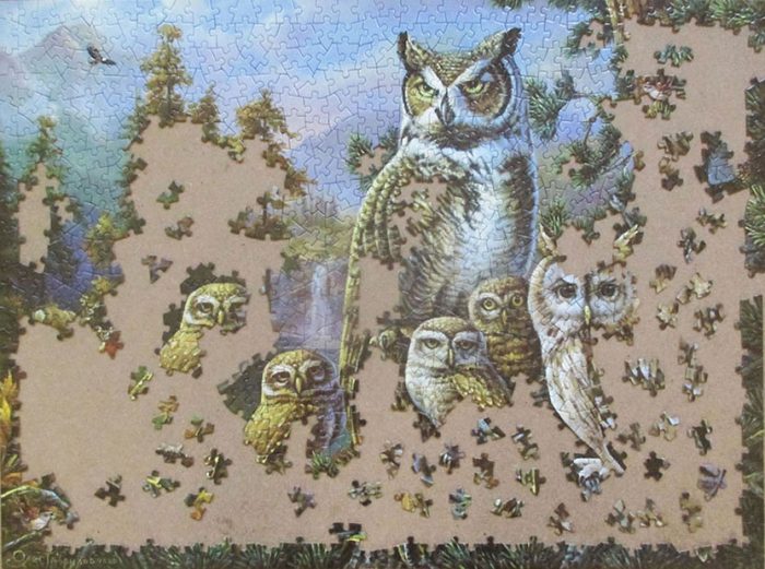 Owl Family 6