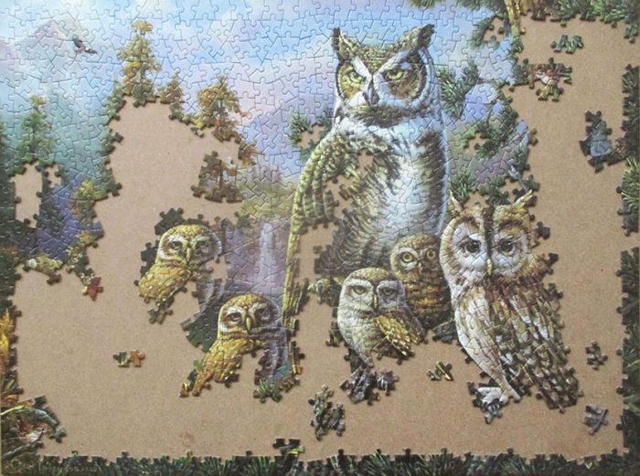 Owl Family 7
