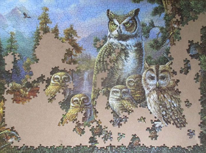 Owl Family 8