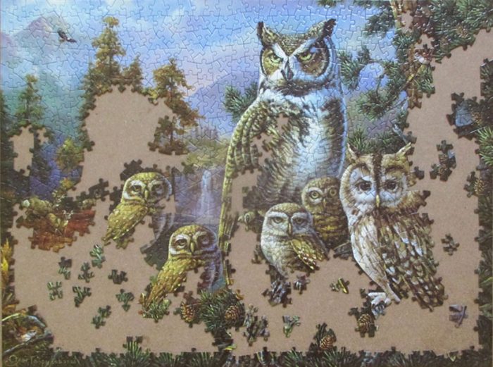 Owl Family 9