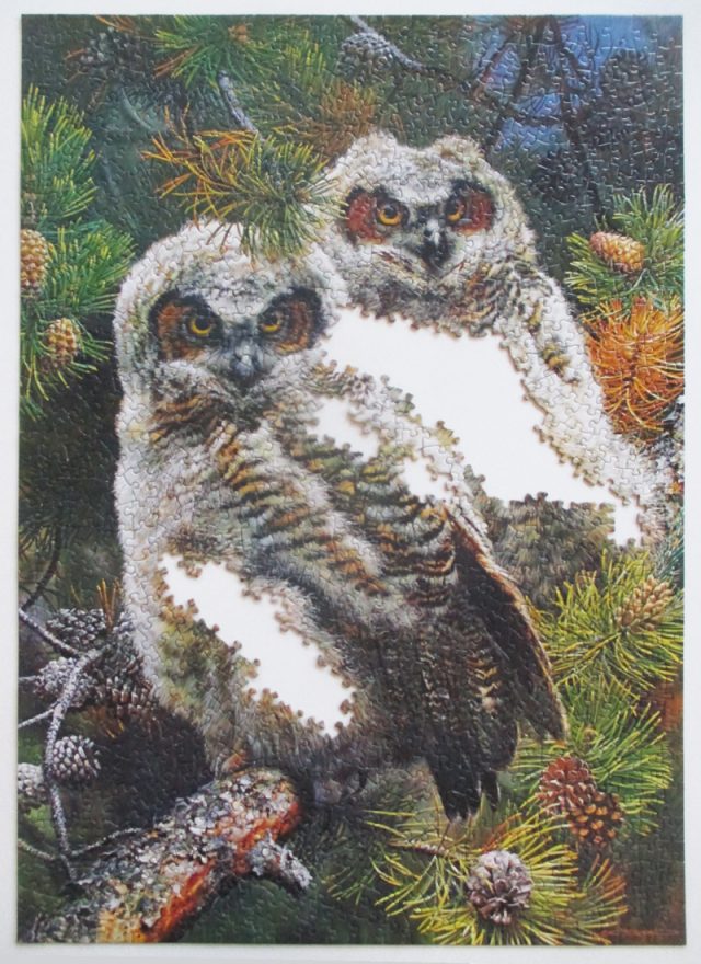 Owls-11