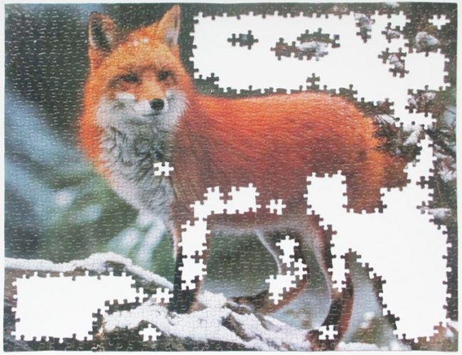 fox 7
