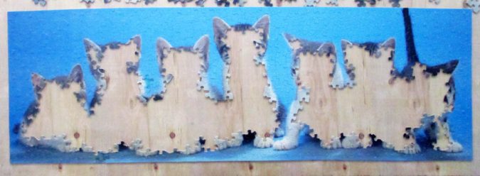 puzzle kitties4