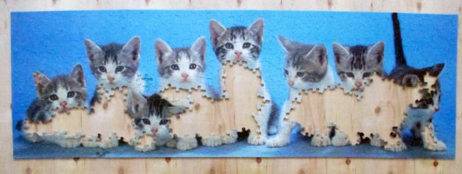 puzzle kitties6