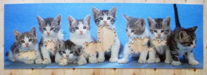 puzzle kitties7