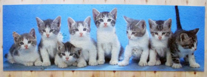 puzzle kitties8